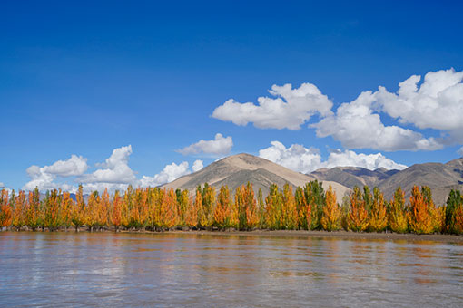 Chine: paysage d'automne le long du fleuve Yarlung Zangbo au Tibet