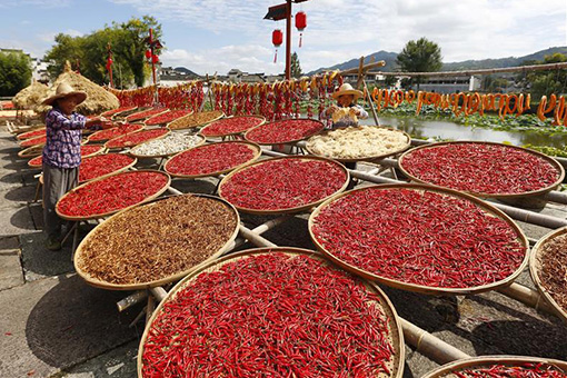 Chine: Récolte dans un village ancien de la province de l'Anhui