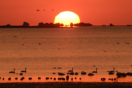 Chine : lever du soleil au lac dans l'est