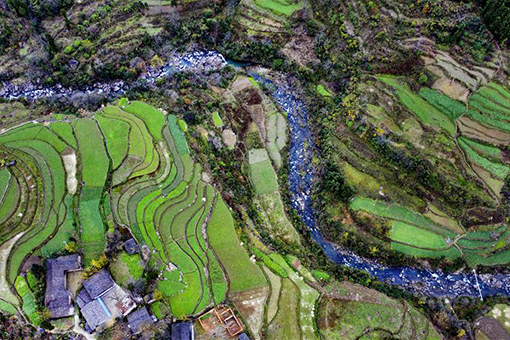 Chine: champs en terrasse dans le nord-ouest