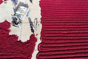 Chine: séchage de piments dans un village au Hebei