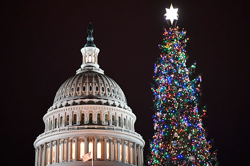 Etats-Unis: illumination du sapin de Noël du Capitole à Washington D.C.