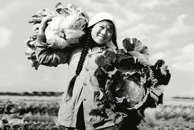 Pourquoi le chou chinois est-il si important en Chine?