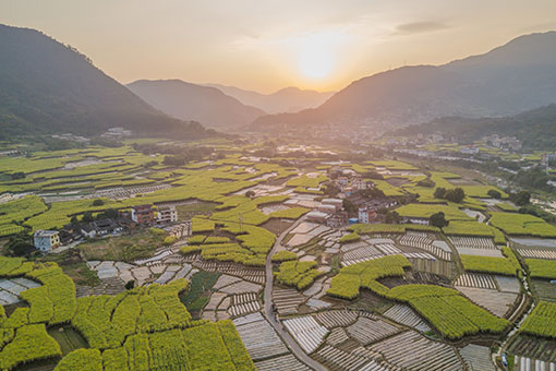 Paysages ruraux dans le sud-est de la Chine