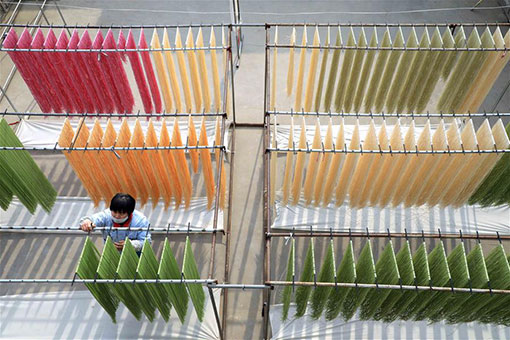 Chine : fabrication des nouilles colorées à Binzhou