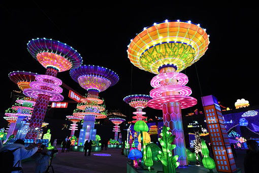 Un festival de lanternes dans le nord de la Chine
