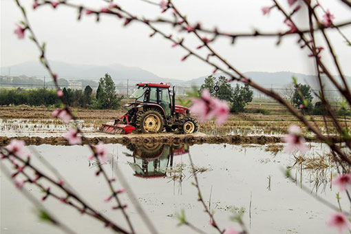 Travaux agricoles au printemps en Chine
