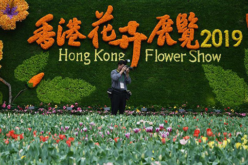 Photos : salon floral de Hong Kong
