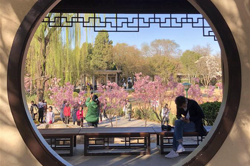 Paysage printanier dans le parc Yuyuantan à Beijing