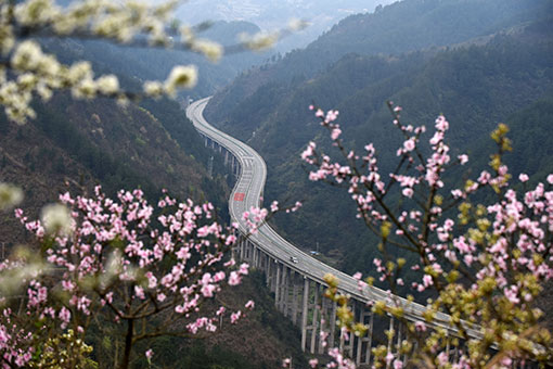 Chine : des fleurs le long d'une autoroute au Guizhou
