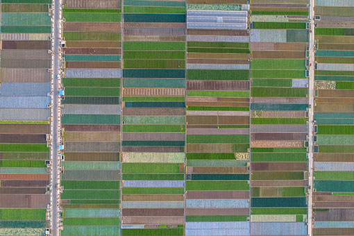 Paysage des des champs dans le sud-ouest de la Chine