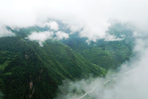 Paysage d'un parc national forestier dans le nord-ouest de la Chine