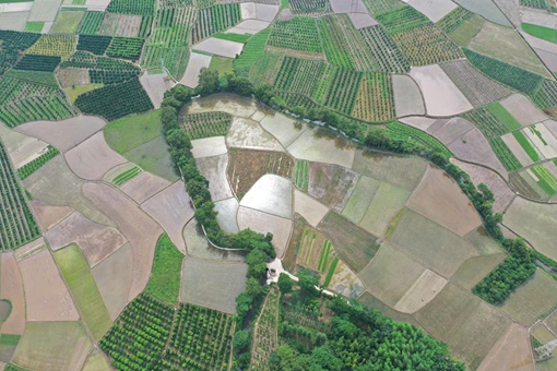 Paysages de terres agricoles dans le sud de la Chine