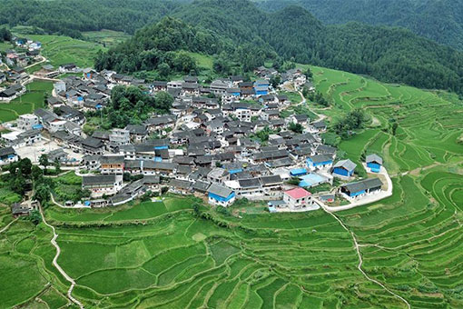 Chine: champs en terrasses au Guizhou