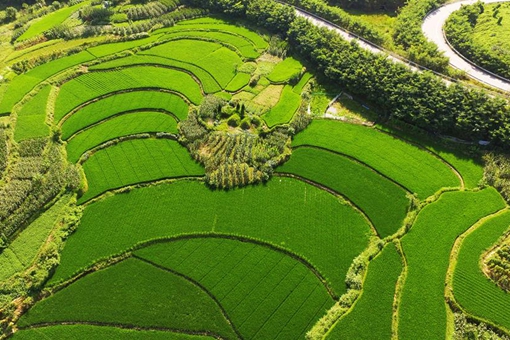 Chine: paysage rural du village de Guoyuan à Chongqing