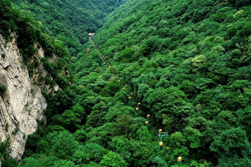 Paysage d'un parc forestier dans le nord-ouest de la Chine