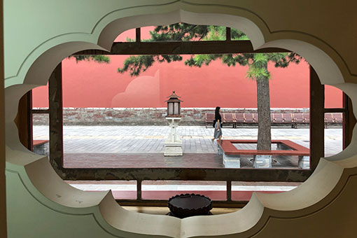 Paysage estival au Musée du Palais à Beijing