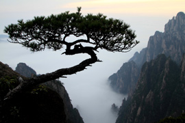 Chine : paysage du mont Huangshan
