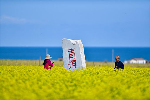 Paysage du lac Qinghai dans le nord-ouest de la Chine