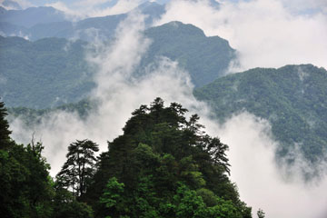 Chine: paysages magnifiques des monts Wudang