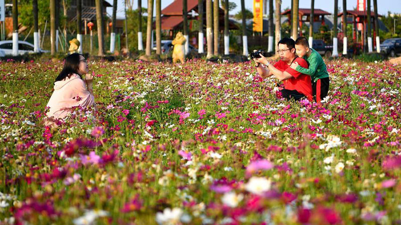 Chine : fleurs à Haikou