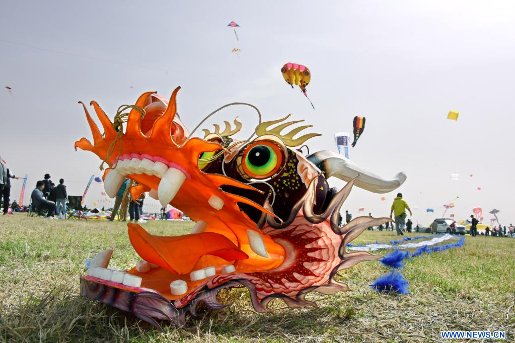 Prochainement un festival du cerf-volant à Binh Thuân