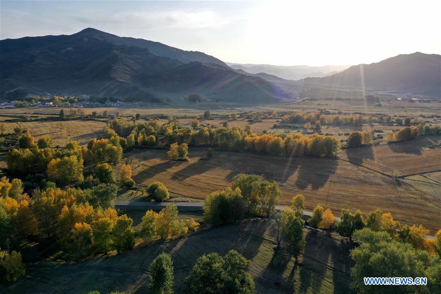 Chine: paysage du district de Qinghe au Xinjiang_French.news.cn