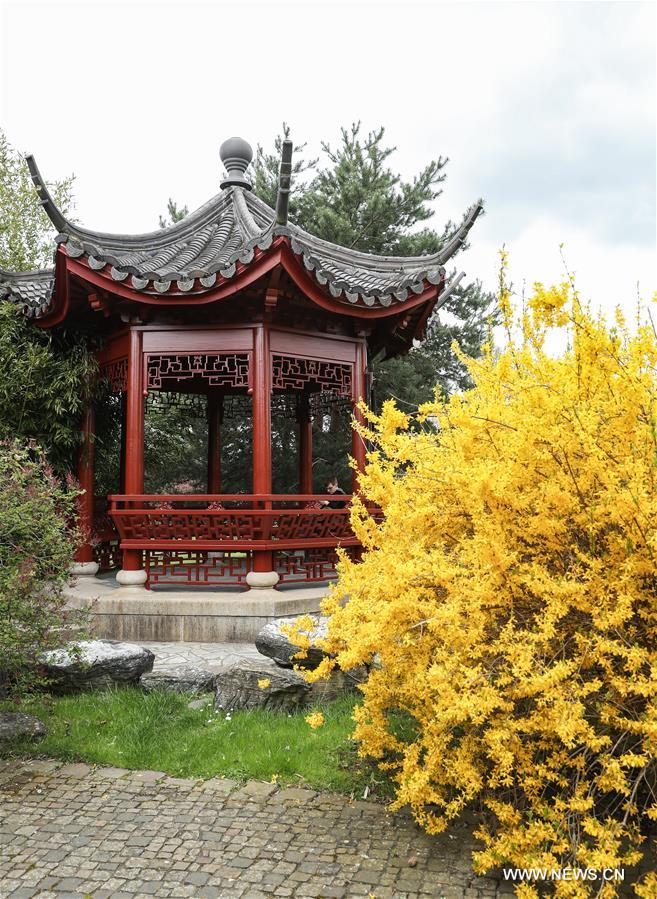 Un jardin de style chinois à Berlin_French.news.cn
